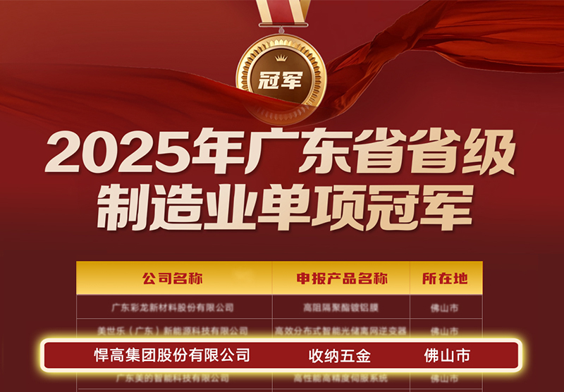 喜讯 | 悍高荣膺广东省制造业单项冠军